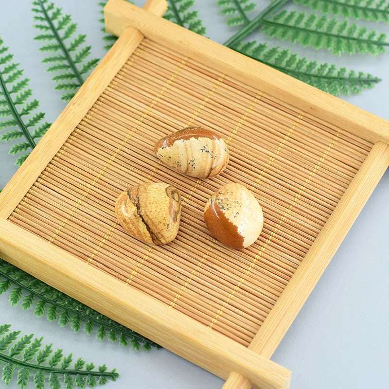 Picture Jasper Bracelet
